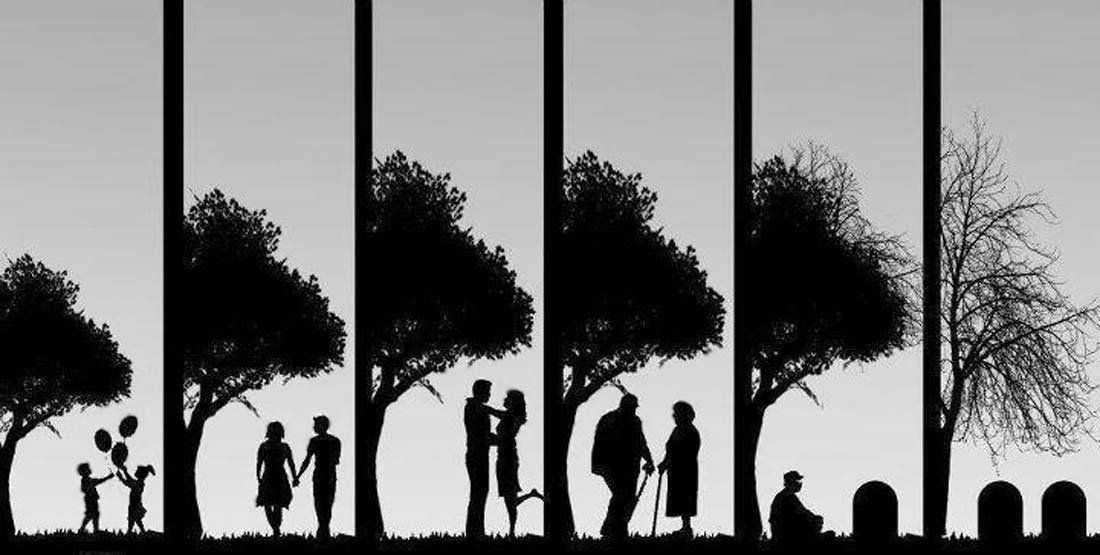 Cada 7 años tu vida cambia por completo