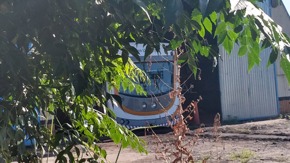 Un proyecto de Resolución ingresado al Concejo Municipal propone subastar públicamente las carrocerías ferroviarias del Tren Urbano