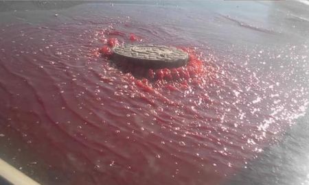 Vecinos intrigados por líquido rojo que emana de alcantarilla y aseguran que se trata de sangre Vecinos intrigados por líquido rojo que emana de alcantarilla y aseguran que se trata de sangre