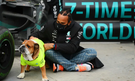 Insólito: Lewis Hamilton podría terminar en la cárcel por volver vegano a su perro Insólito: Lewis Hamilton podría terminar en la cárcel por volver vegano a su perro