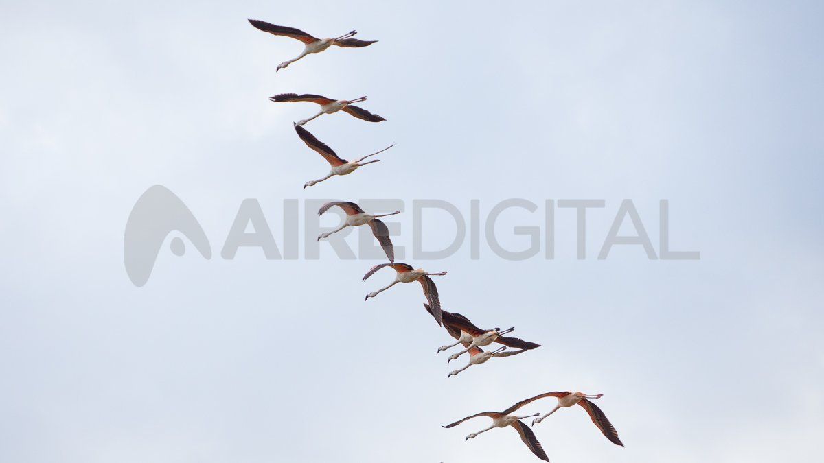 Jaaukanigás significa “gente del agua”.