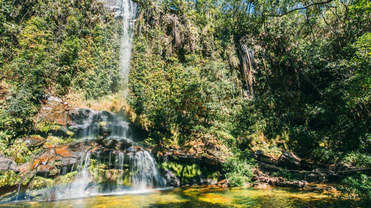 El Parque Estadual de Pirenópolis ofrece un recorrido natural entre montañas y cascadas, ideal para los amantes del trekking. El Parque Estadual de Pirenópolis ofrece un recorrido natural entre montañas y cascadas, ideal para los amantes del trekking.