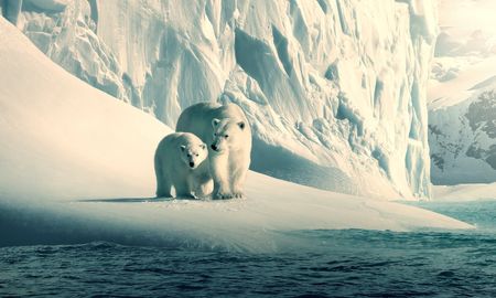 cuatro documentales que debes ver si amas la naturaleza cuatro documentales que debes ver si amas la naturaleza