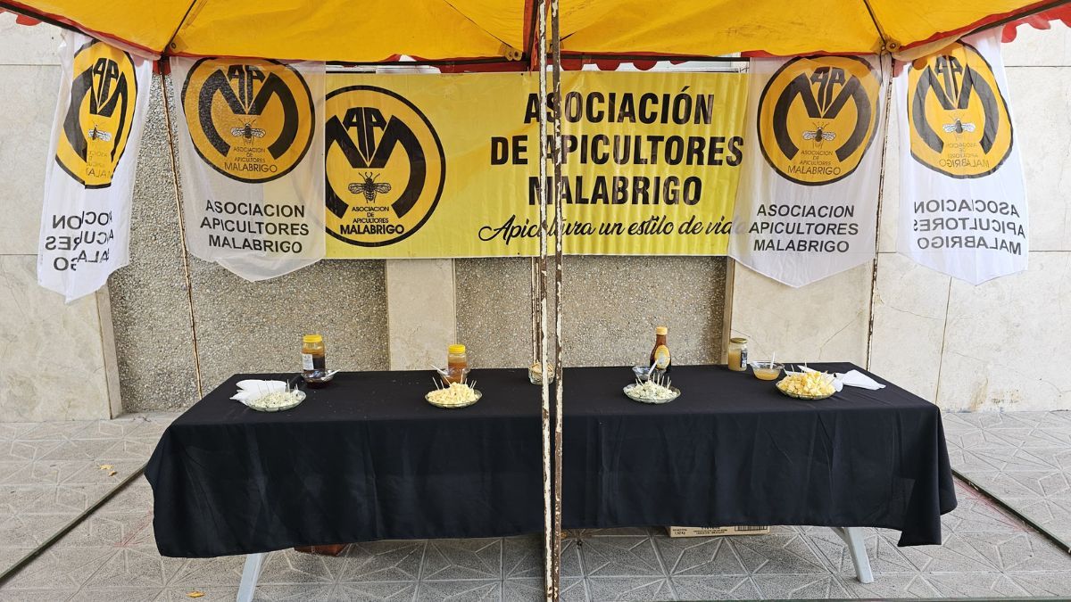 Todos los años la Asociación de Apicultores de Malabrigo convoca a la ciudadanía en la vía pública.