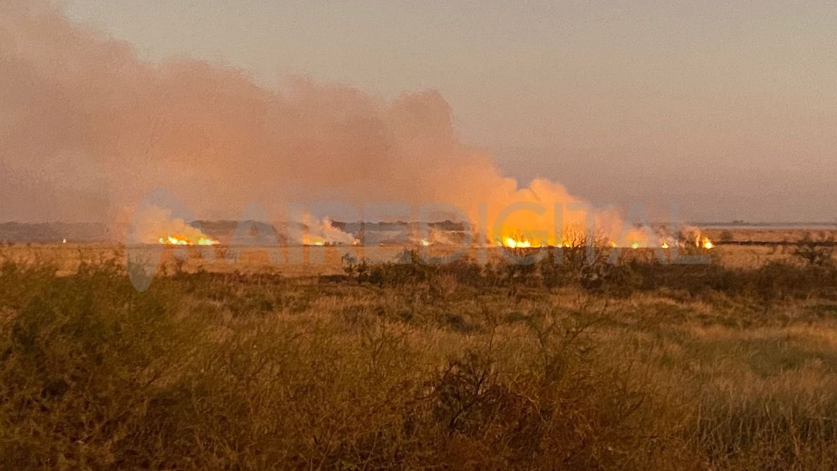 La quema de pastizales sobre la autopista a la altura de la localidad de Desvio Arijón alertó al personal de seguridad vial.