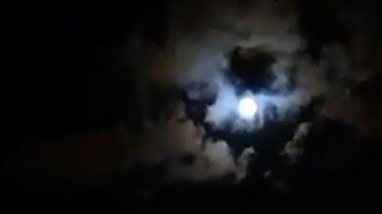 La imagen de Diego Maradona que impactó a los usuarios. 