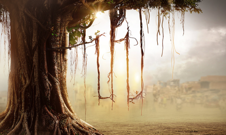 Estrenos del fin de semana en Netflix, HBO, Amazon Prime Video y Disney+ Estrenos del fin de semana en Netflix, HBO, Amazon Prime Video y Disney+