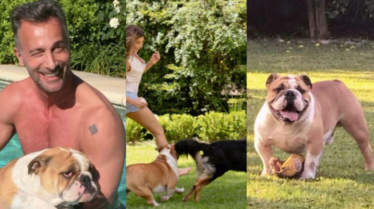 Murió Chopper, el perrito de Catherine Fulop. Murió Chopper, el perrito de Catherine Fulop.