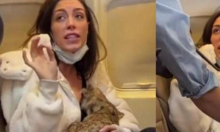 Esta es la verdadera historia detrás del vídeo viral de la pasajera de avión amamantando a un gato Esta es la verdadera historia detrás del vídeo viral de la pasajera de avión amamantando a un gato