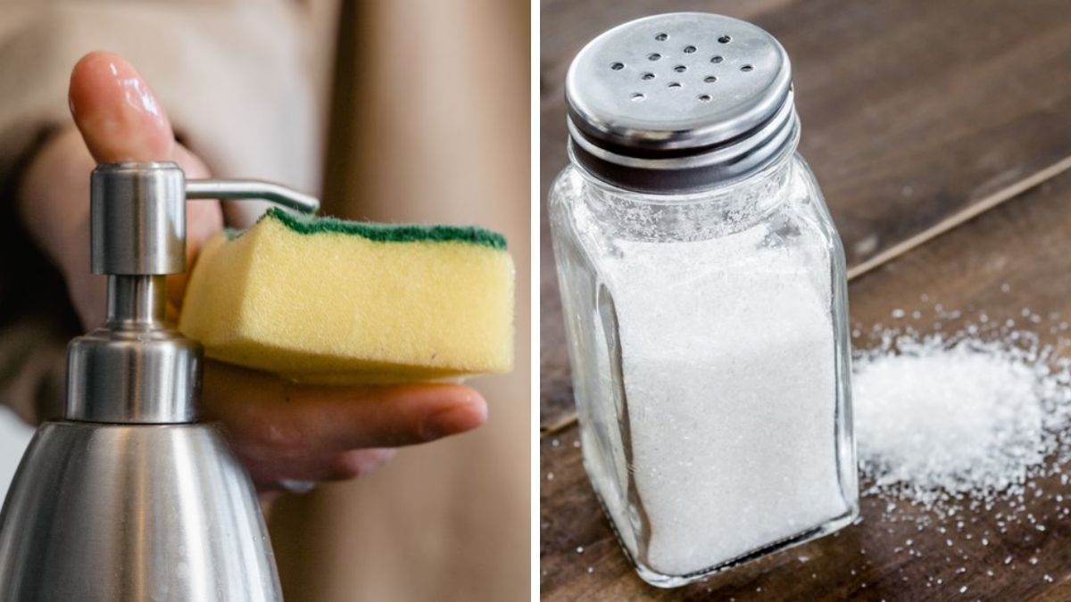 Este truco con sal permite eliminar las bacterías de la esponja de cocina. 