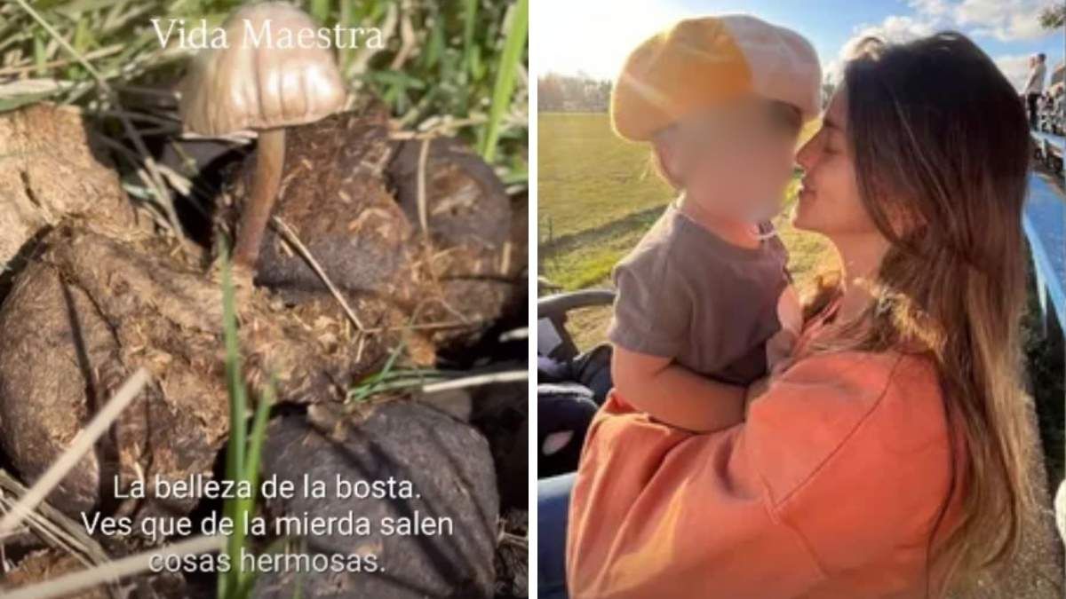 Calu Rivero compartió una foto de un montículo de bosta. Calu Rivero compartió una foto de un montículo de bosta. 