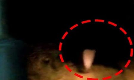 Captan en video una espeluznante aparición en medio de la noche Captan en video una espeluznante aparición en medio de la noche