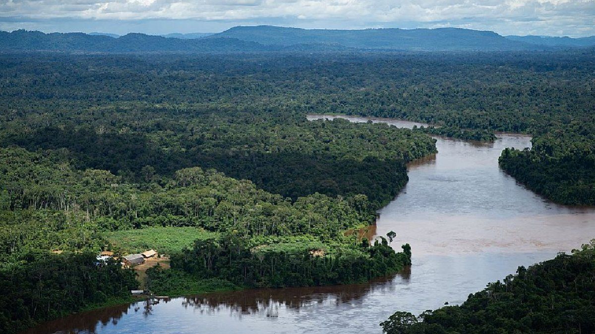 Según los estudios, se produjo alrededor de 1.500 millones de toneladas de CO2 al año.