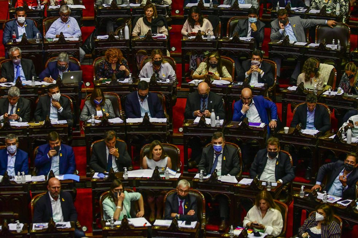 Sesión en Diputados por la Ley de Etiquetado Frontal. Foto: Federico Lopez Claro