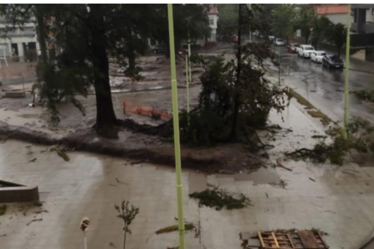 Javier Milei dio su pésame a los familares de las víctimas en la tragedia en Bahía Blanca.
