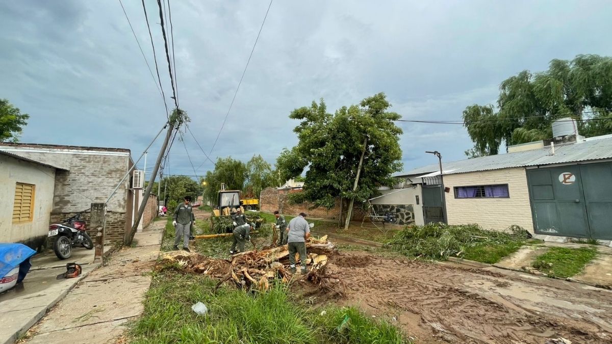 Personal de la EPE y de la Municipalidad de Santa Fe trabajan en el lugar.