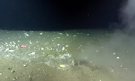 Fuga en el fondo del océano Pacífico podría ser el aviso de un terremoto destructivo Fuga en el fondo del océano Pacífico podría ser el aviso de un terremoto destructivo
