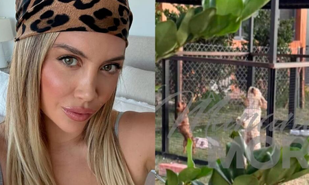 Vecinos de Nordelta denunciaron que los perros de Wanda Nara pasaban horas al sol sin supervisión. Vecinos de Nordelta denunciaron que los perros de Wanda Nara pasaban horas al sol sin supervisión.