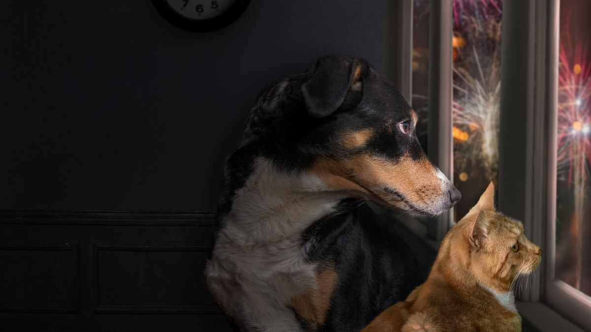 En la ciudad de Santa Fe