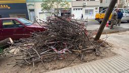 Un camión arrancó un árbol y provocó que un comercio quede sin internet y no pueda cobrar: así se resolvió con la intervención de AIRE.
