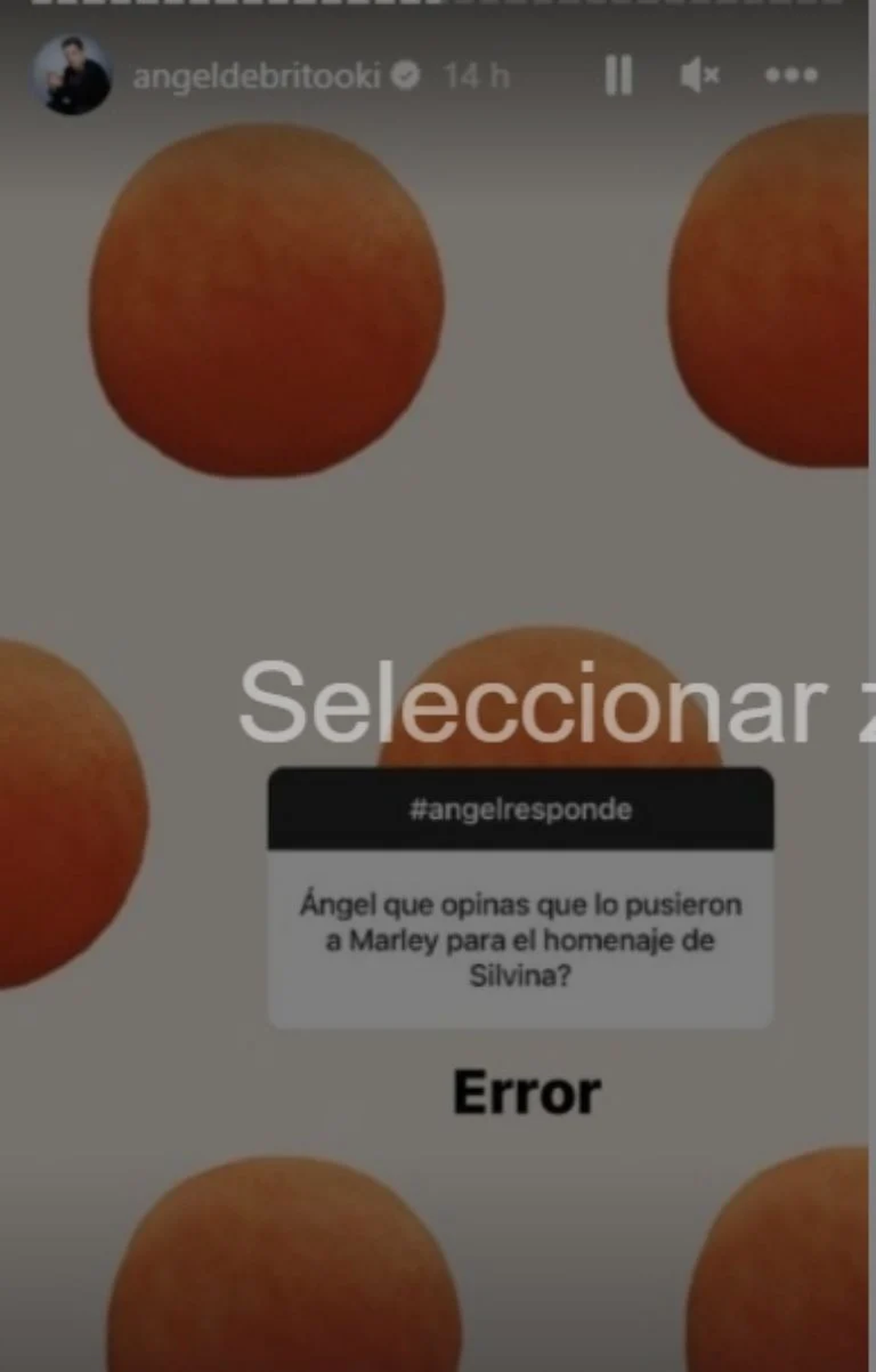 Ángel De Brito demostró su fuerte enojo contra marley. Ángel De Brito demostró su fuerte enojo contra marley.