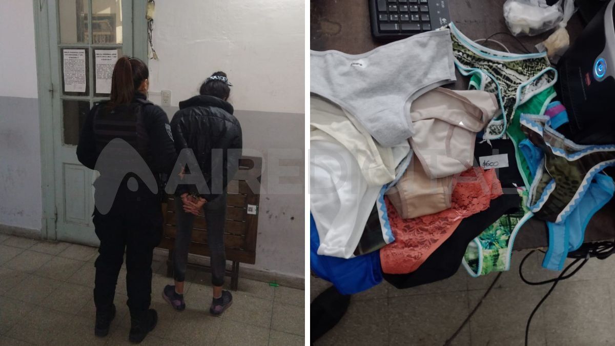 Ciudad de Santa Fe: presa por robar vedetinas en un bazar chino