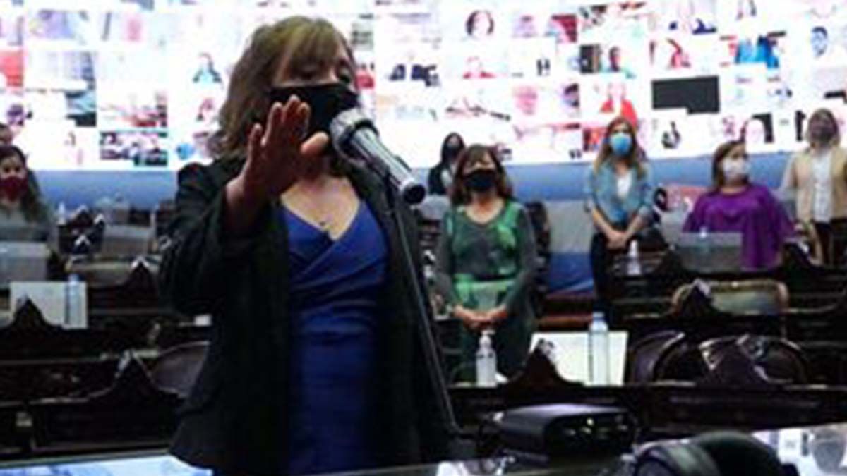 La dirigente salteña Alcira Figueroa juró este miércoles como diputada nacional en reemplazo de su comprovinciano del Frente de Todos