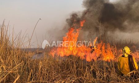 Los incendios tienen un alto impacto en los primeros 20 centímetros del suelo. Los incendios tienen un alto impacto en los primeros 20 centímetros del suelo.