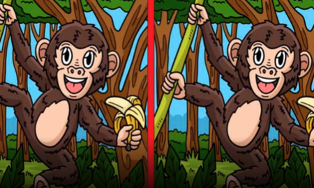 RETO VISUAL nivel PRO: solo el 2% encontró las 3 diferencias en menos de 5 segundos RETO VISUAL nivel PRO: solo el 2% encontró las 3 diferencias en menos de 5 segundos