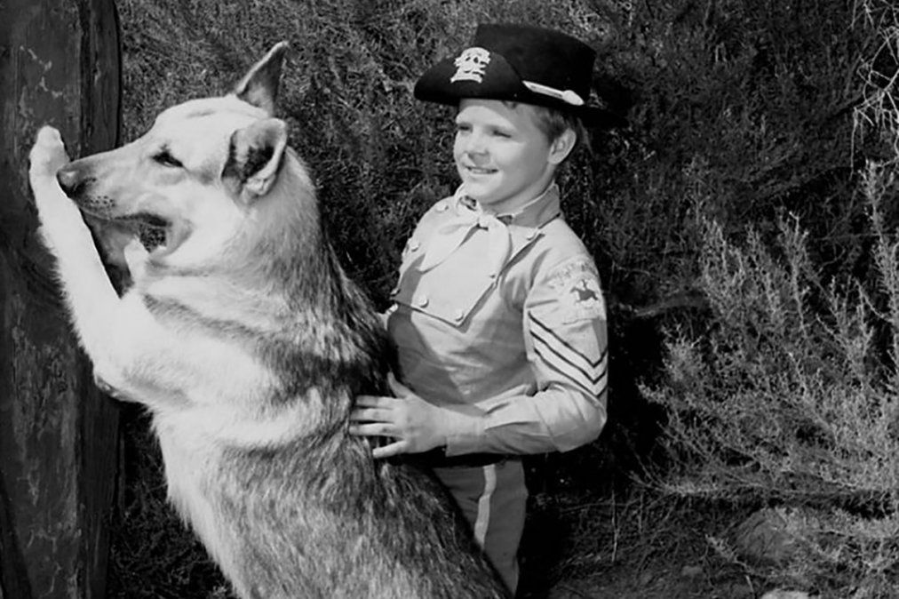 Directo al estrellato.