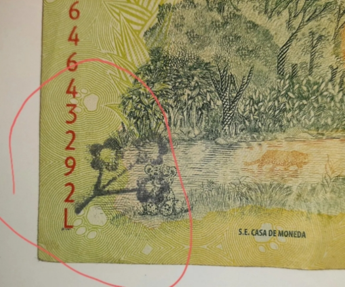 ERROR DE IMPRESIÓN.