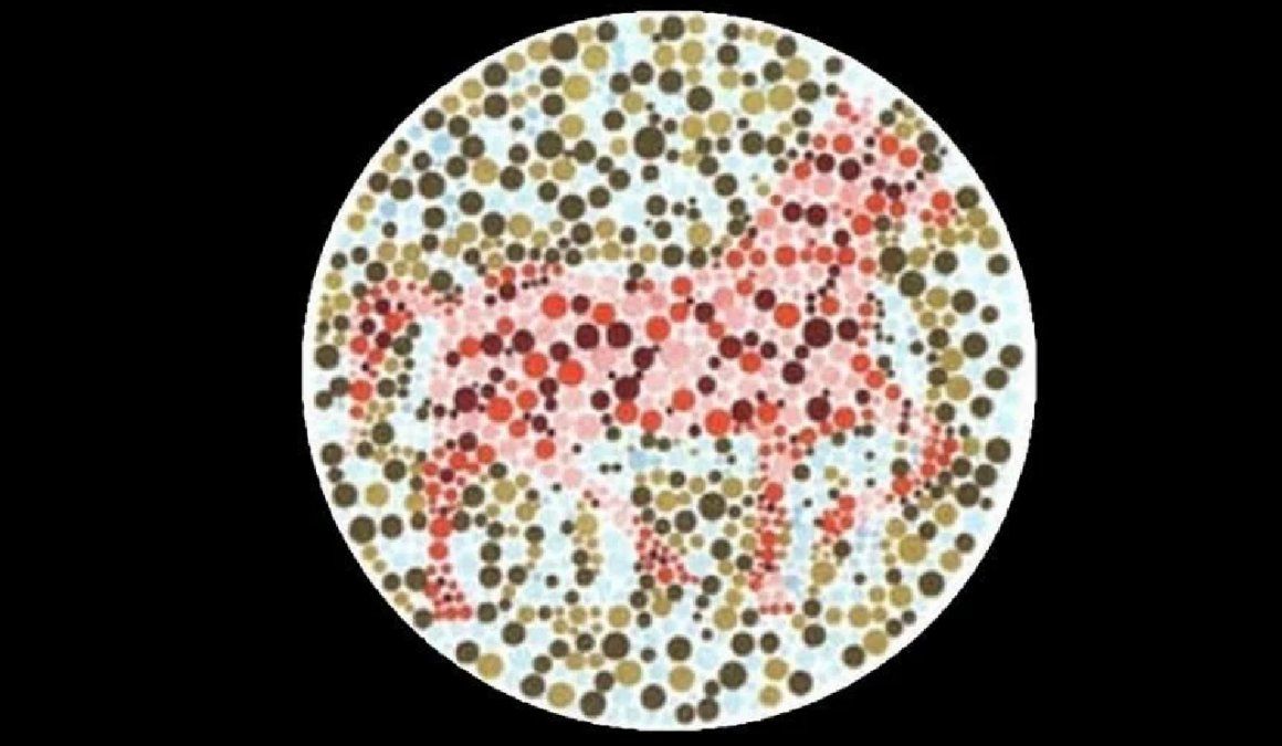 El test más famoso que se basa en ese rasgo es la prueba de Rorschach&nbsp;