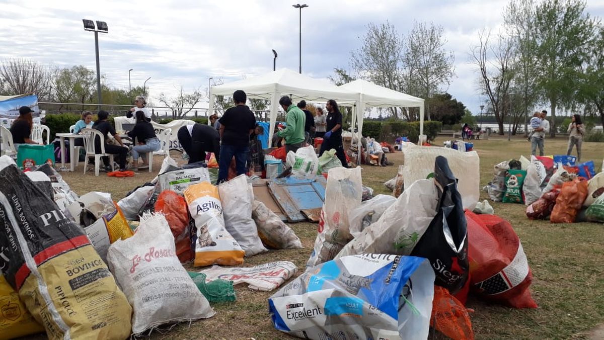 Unos 100 voluntarios participaron de la jornada de limpieza en Rosario que organizó la ONG