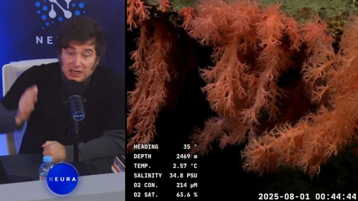 La transmisión en vivo de la expedición científica superó los 52 mil espectadores en simultáneo