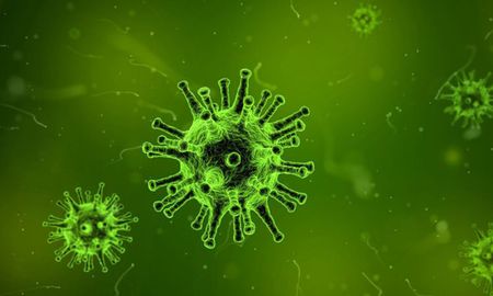 Un brote de Norovirus en la provincia de Sichuan, China, infectó ya a 50 niños Un brote de Norovirus en la provincia de Sichuan, China, infectó ya a 50 niños