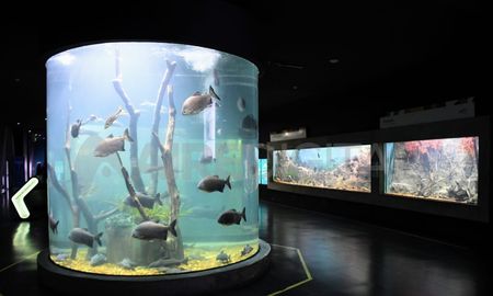 El Acuario del Río Paraná, uno de los imperdibles de Rosario. El Acuario del Río Paraná, uno de los imperdibles de Rosario.