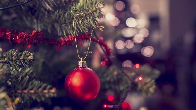 Las mejores ideas para armar el arbolito el 8 de diciembre