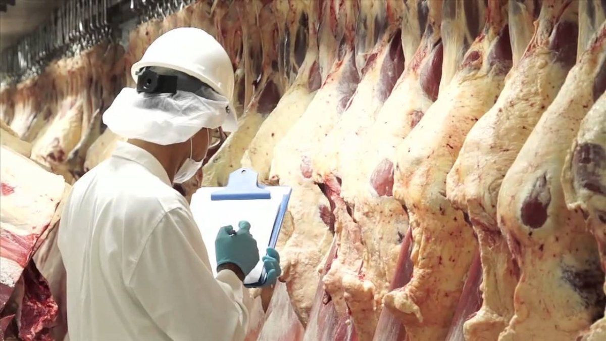 Las exportaciones de carne bovina cayeron 17% interanual en agosto, en medio de las restricciones a las ventas al exterior, según datos del Indec.