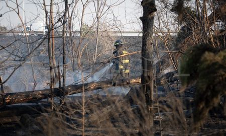 Un importante incendio de pastizales se desató este viernes a la vera de la Autopista Rosario - Santa Fe, a la altura de la ciudad de Santo Tomé. Un importante incendio de pastizales se desató este viernes a la vera de la Autopista Rosario - Santa Fe, a la altura de la ciudad de Santo Tomé.