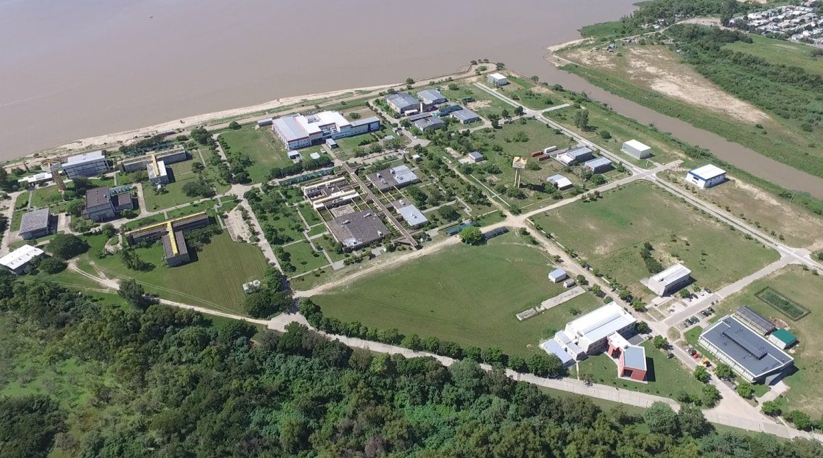 Científicos del Conicet lograron identificar mecanismos que aumentan la capacidad de las raíces de las plantas para absorber agua y nutrientes del suelo en condiciones de bajas temperaturas.