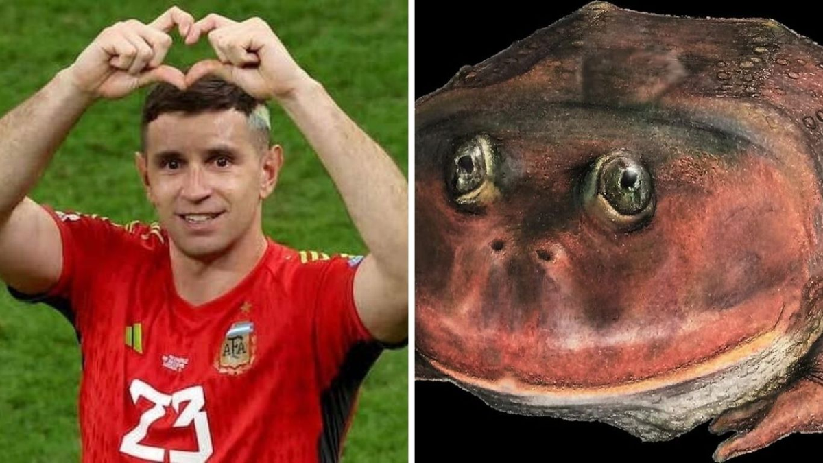 Paleontólogos de Mendoza decidieron nombrar igual que el arquero a una especie prehistórica que hallaron.