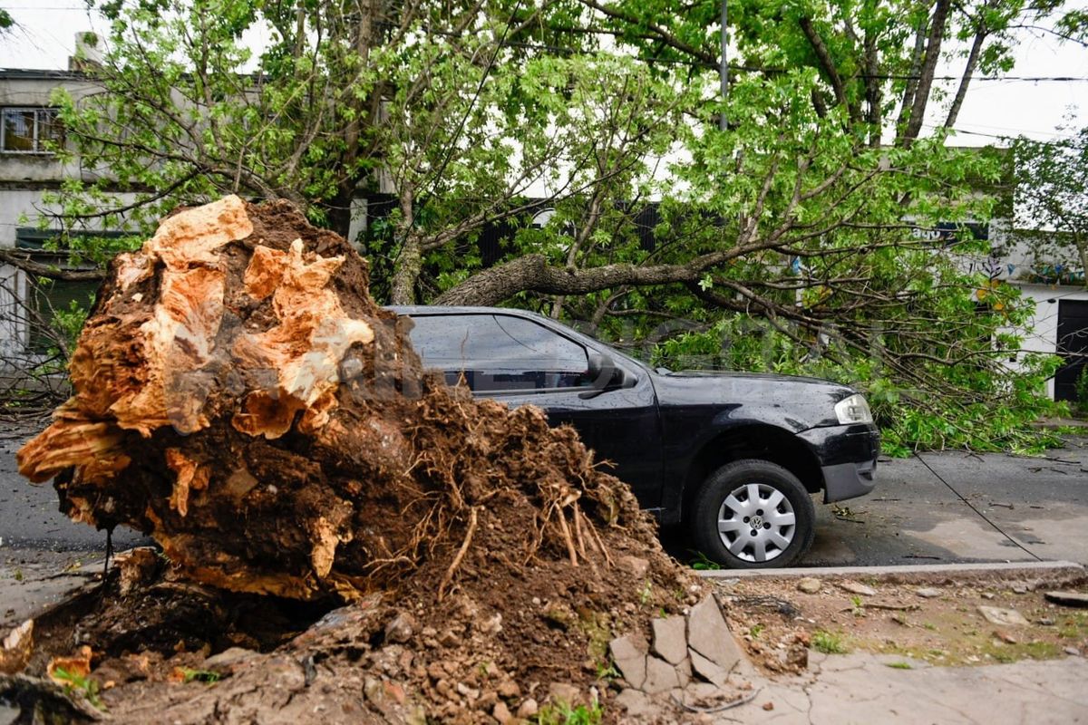 Las imágenes del temporal en Rosario. Las imágenes del temporal en Rosario.