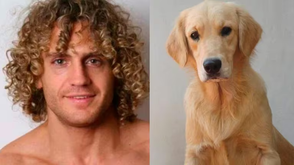 Emiliano Boscatto, quien reveló que su gran amiga de cuatro patas ahora descansa en un cementerio de animales. Emiliano Boscatto, quien reveló que su gran amiga de cuatro patas ahora descansa en un cementerio de animales.