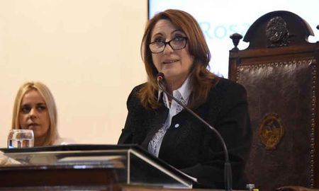 fein admitio que le ?asusta? que nacion pueda castigar a santa fe fein admitio que le ?asusta? que nacion pueda castigar a santa fe