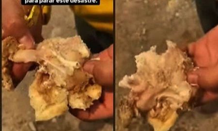 Brigadistas que combaten el fuego en Bariloche denuncian que les dan de comer milanesas de pollo crudas Brigadistas que combaten el fuego en Bariloche denuncian que les dan de comer milanesas de pollo crudas