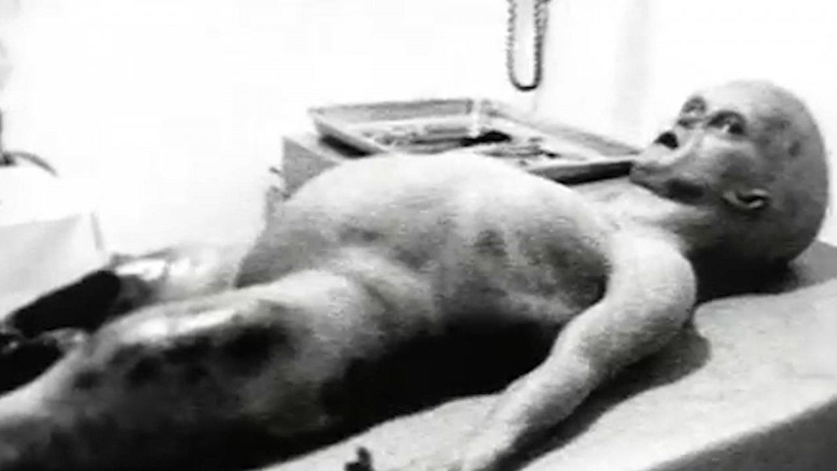 La CIA desclasificó toda la información que tiene sobre ovnis y ya podés descargarla &nbsp;