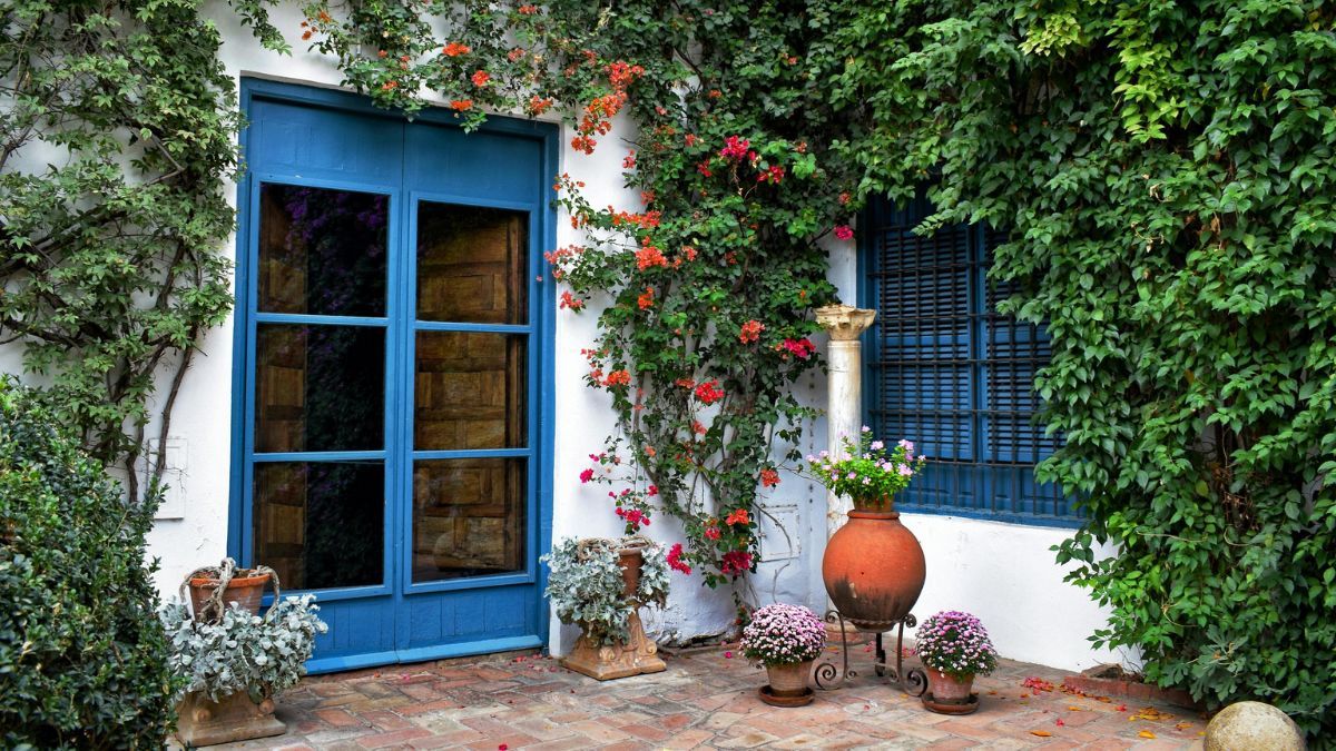 El calor intenso pone a prueba hasta las flores más resistentes del verano.