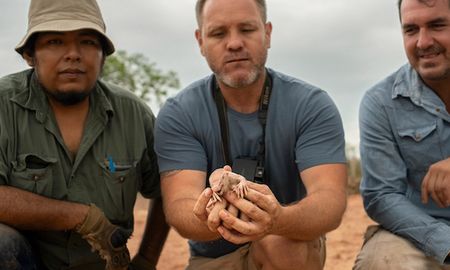 “No había duda, teníamos un culotapado”, dijo Bustillos empleando el nombre local para el armadillo pichiciego chaqueño y agradecido por poder observar con vida a una de las especies más raras del mundo. “No había duda, teníamos un culotapado”, dijo Bustillos empleando el nombre local para el armadillo pichiciego chaqueño y agradecido por poder observar con vida a una de las especies más raras del mundo.