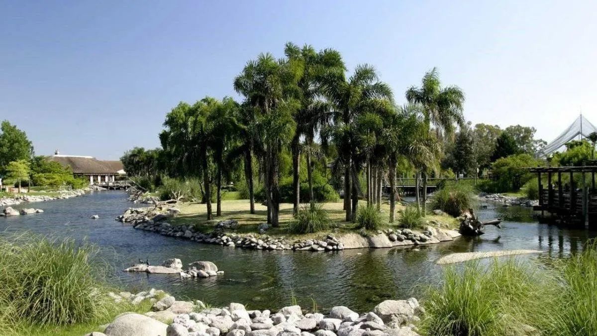 La Reserva Natural Isla Río Hondo protege el ecosistema del río Dulce y ofrece pasarelas de baja dificultad para el senderismo familiar y el reconocimiento de flora nativa. La Reserva Natural Isla Río Hondo protege el ecosistema del río Dulce y ofrece pasarelas de baja dificultad para el senderismo familiar y el reconocimiento de flora nativa.
