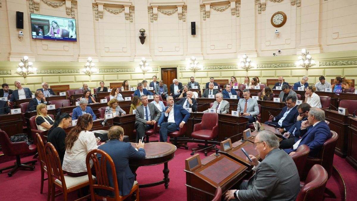 Según reza el dictamen aprobado por mayoría